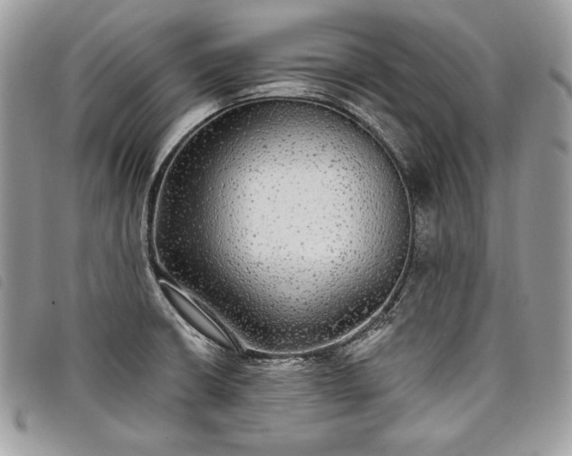 X0000098011426200804071316