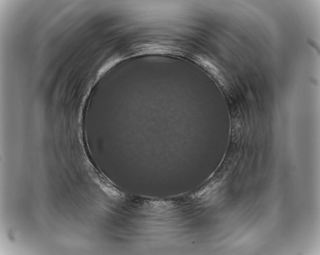 X0000098011427200804071316
