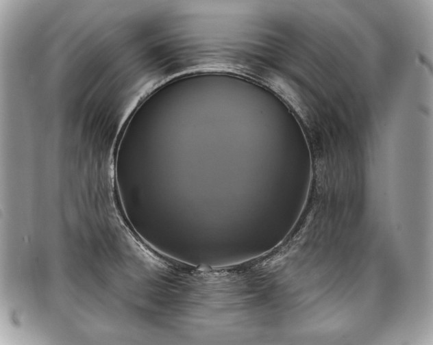 X0000098011428200804071316