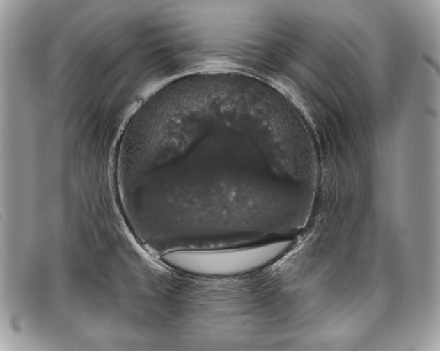X0000098011429200804071316