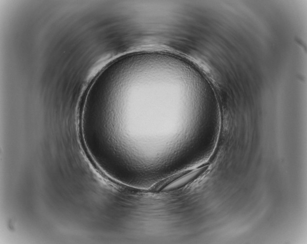 X0000098011430200804071316