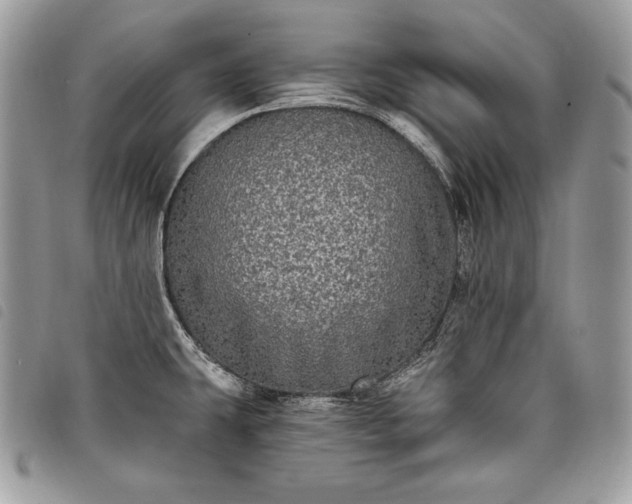 X0000098011431200804071316
