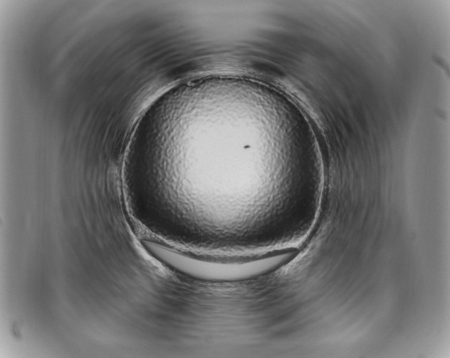 X0000098011433200804071316