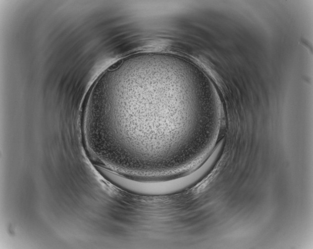 X0000098011434200804071316