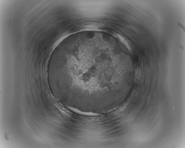 X0000098011435200804071316