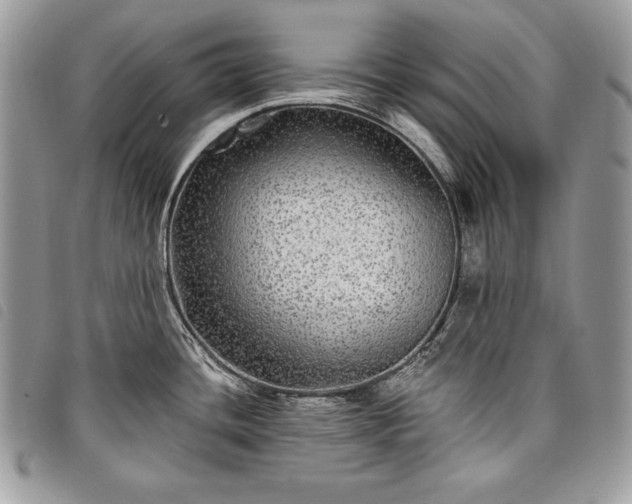 X0000098011436200804071316