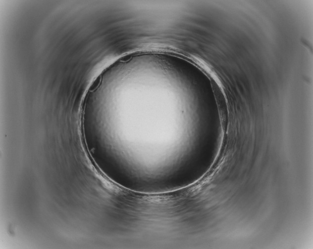 X0000098011437200804071316