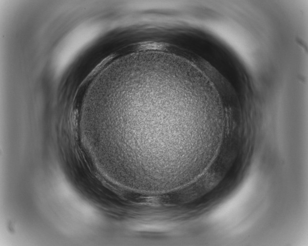 X0000098011438200804071316