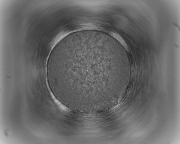 X0000098011439200804071316