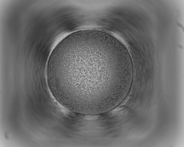 X0000098011440200804071316