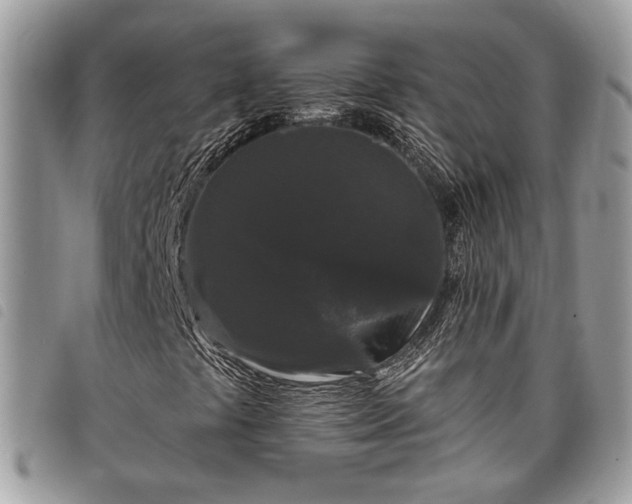 X0000098011441200804071315
