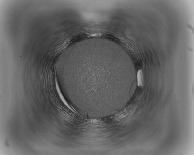 X0000098011443200804071315