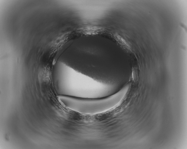 X0000098011444200804071315