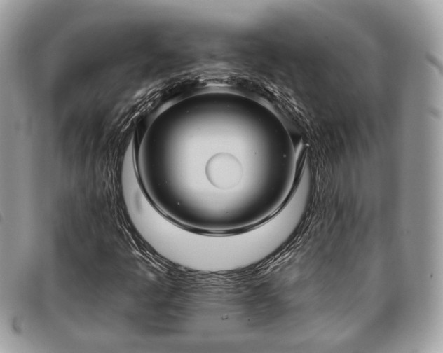 X0000098011445200804071315