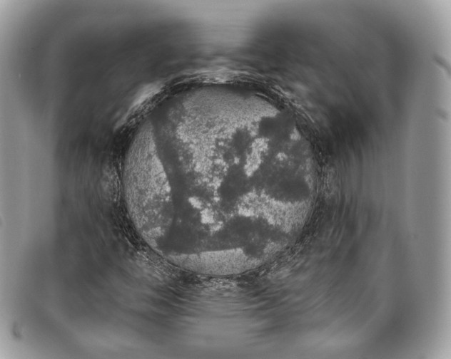 X0000098011446200804071315