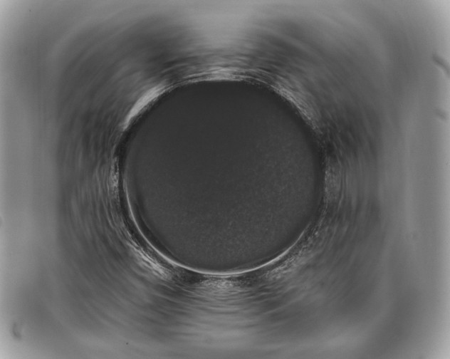 X0000098011450200804071315