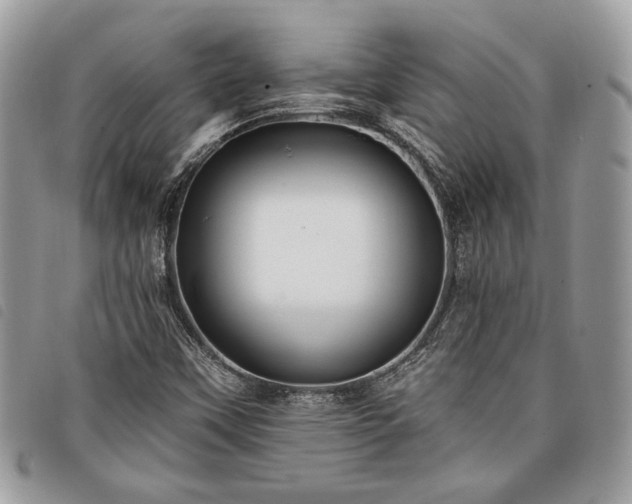 X0000098011451200804071315