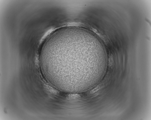 X0000098011454200804071315