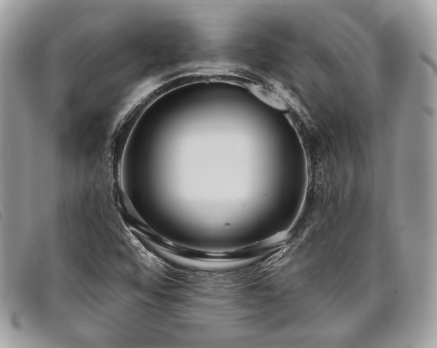 X0000098011456200804071315