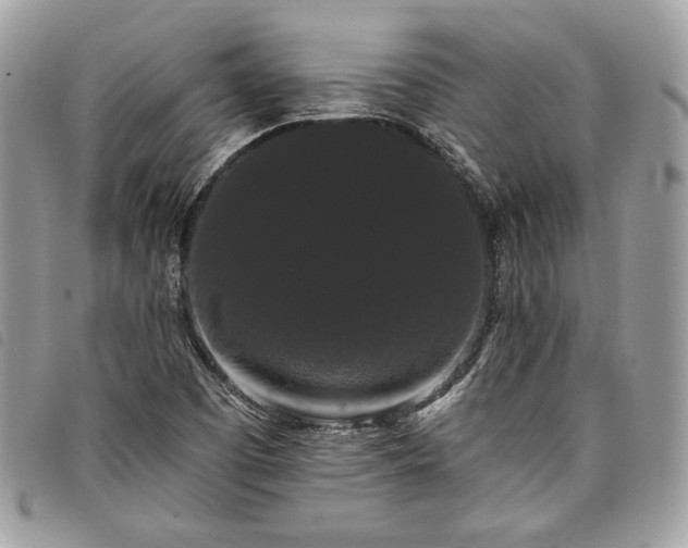 X0000098011457200804071315