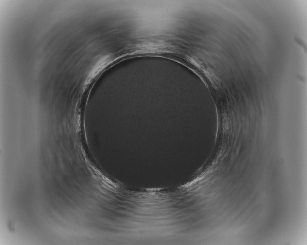 X0000098011459200804071315