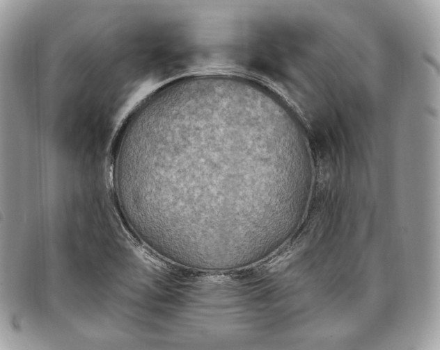 X0000098011462200804071315