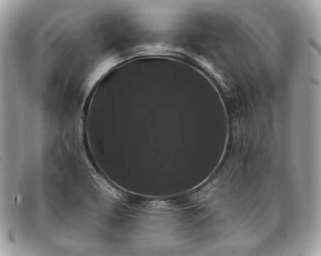 X0000098011463200804071315