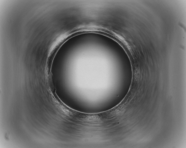 X0000098011464200804071315