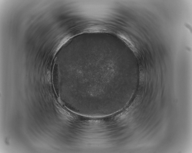 X0000098011465200804071315