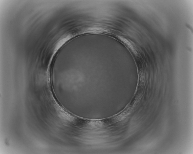 X0000098011466200804071315