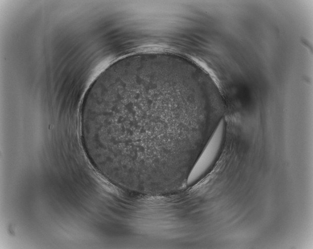 X0000098011467200804071315