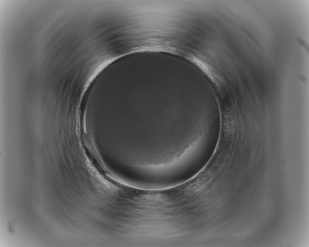 X0000098011468200804071315