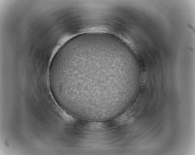 X0000098011470200804071315