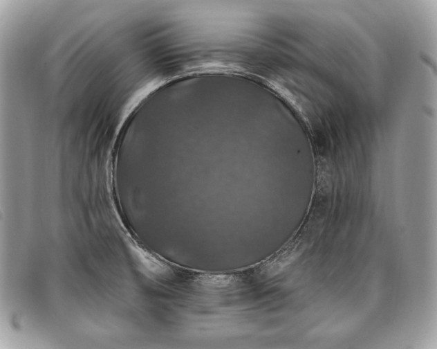 X0000098011474200804071315