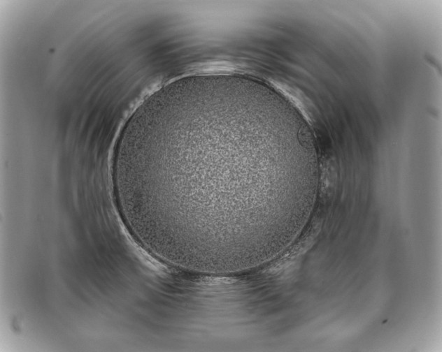 X0000098011475200804071315