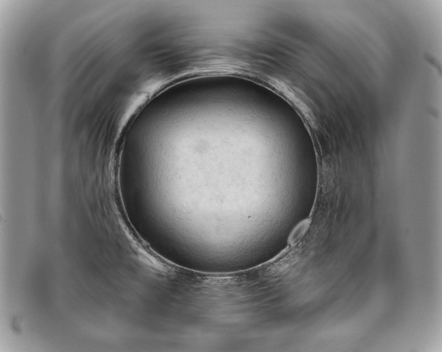 X0000098011477200804071315