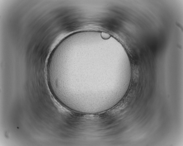 X0000098011478200804071315