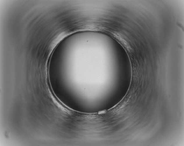 X0000098011479200804071315