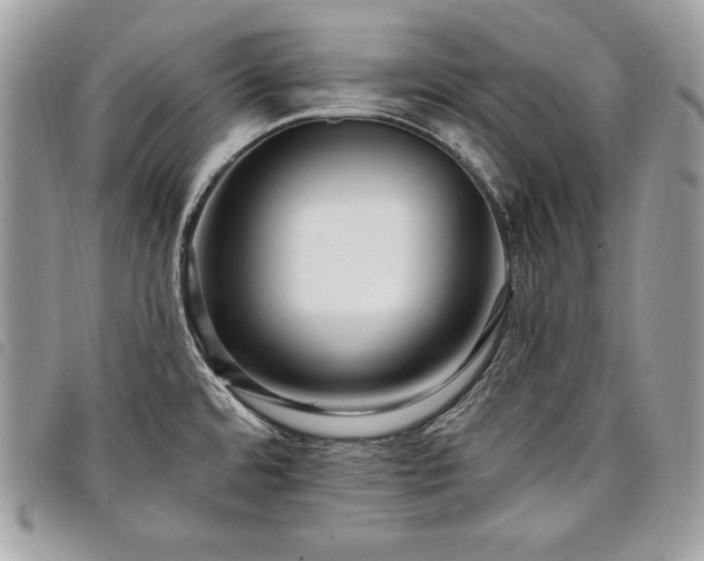 X0000098011480200804071315