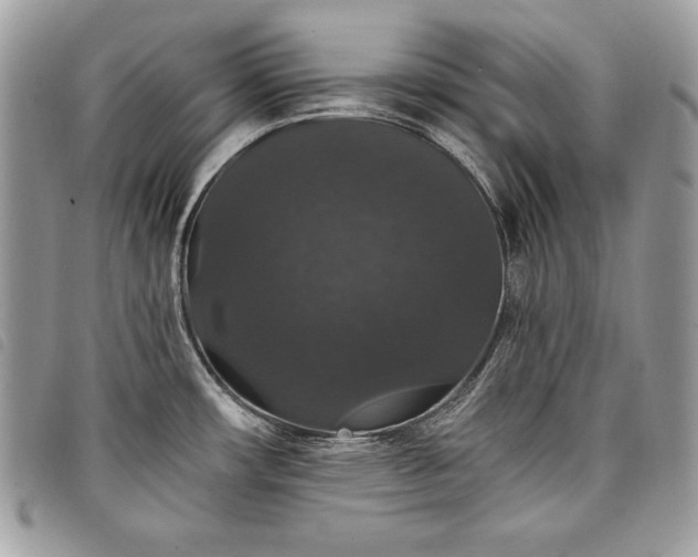 X0000098011482200804071315