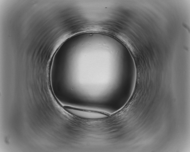 X0000098011483200804071315