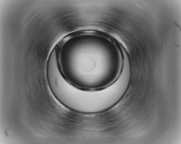 X0000098011484200804071315