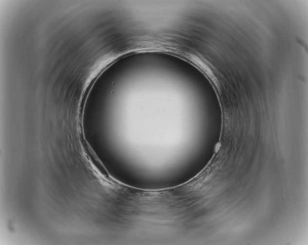 X0000098011485200804071315