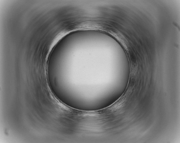 X0000098011486200804071315