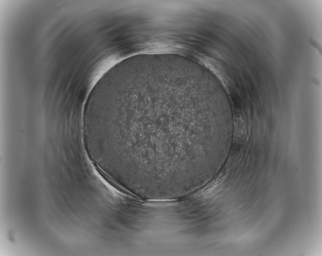 X0000098011487200804071315