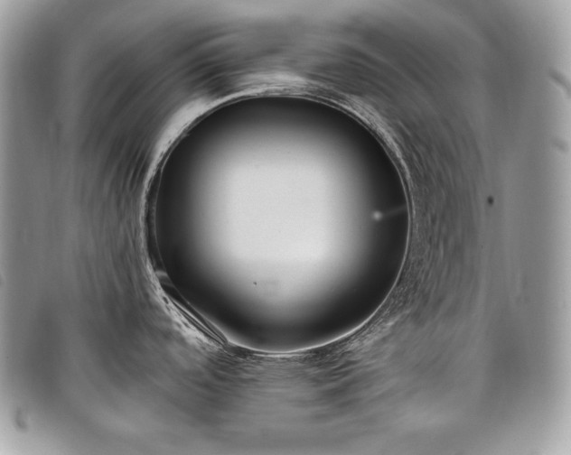 X0000098011488200804071315
