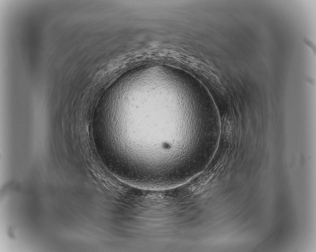 X0000098011489200804071314