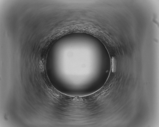 X0000098011491200804071314