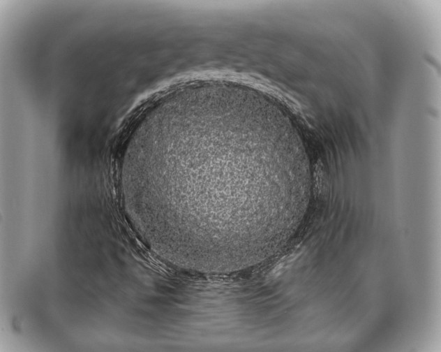 X0000098011494200804071314