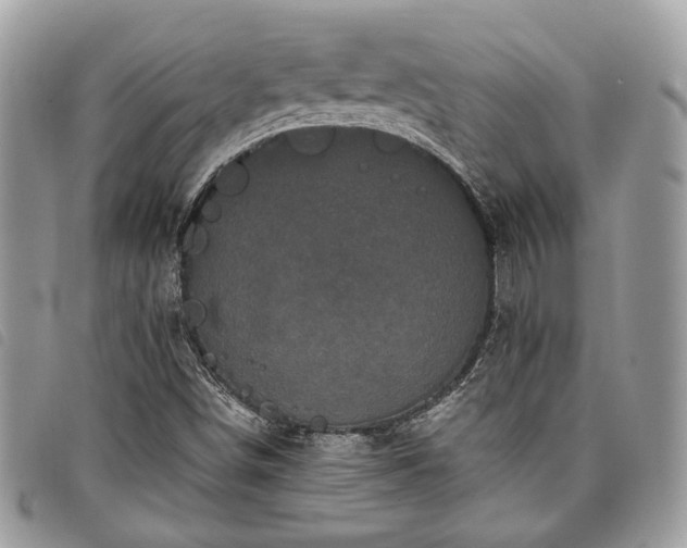 X0000098011498200804071314